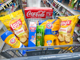 lay's coca-cola arm & hammer garnier walgreens storage bags in walgreens cart