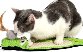 amazon hartz cat toy 2022 1 1672424276 1672424276