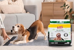 a dog on a puppy pad in a room next to a bag of puppy pads