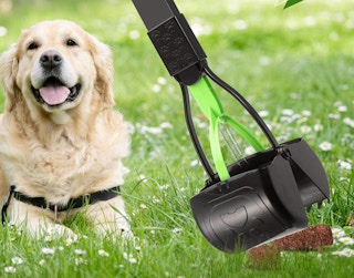 black and green pooper scooper in a yard