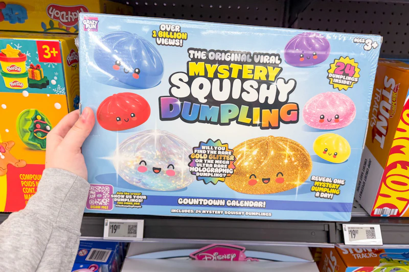 hand holding rms mystery squishy dumplings calendar