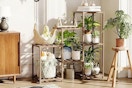 Indoor Plant Shelf