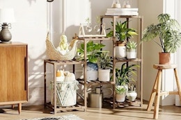 Indoor Plant Shelf
