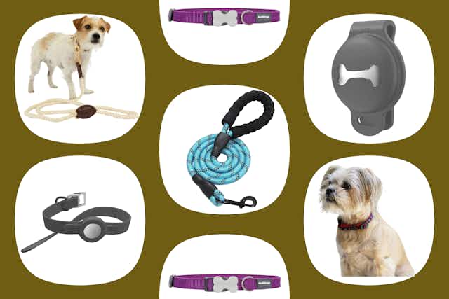 Clearance Pet Supplies at Walmart: $2.44 Dog Collar, $5.49 Leash, and More card image