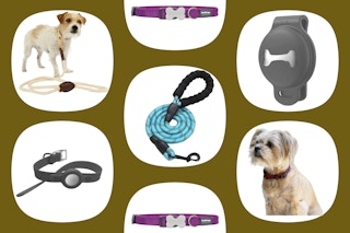 collage image of leash and collars