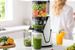 juicer on kitchen counter