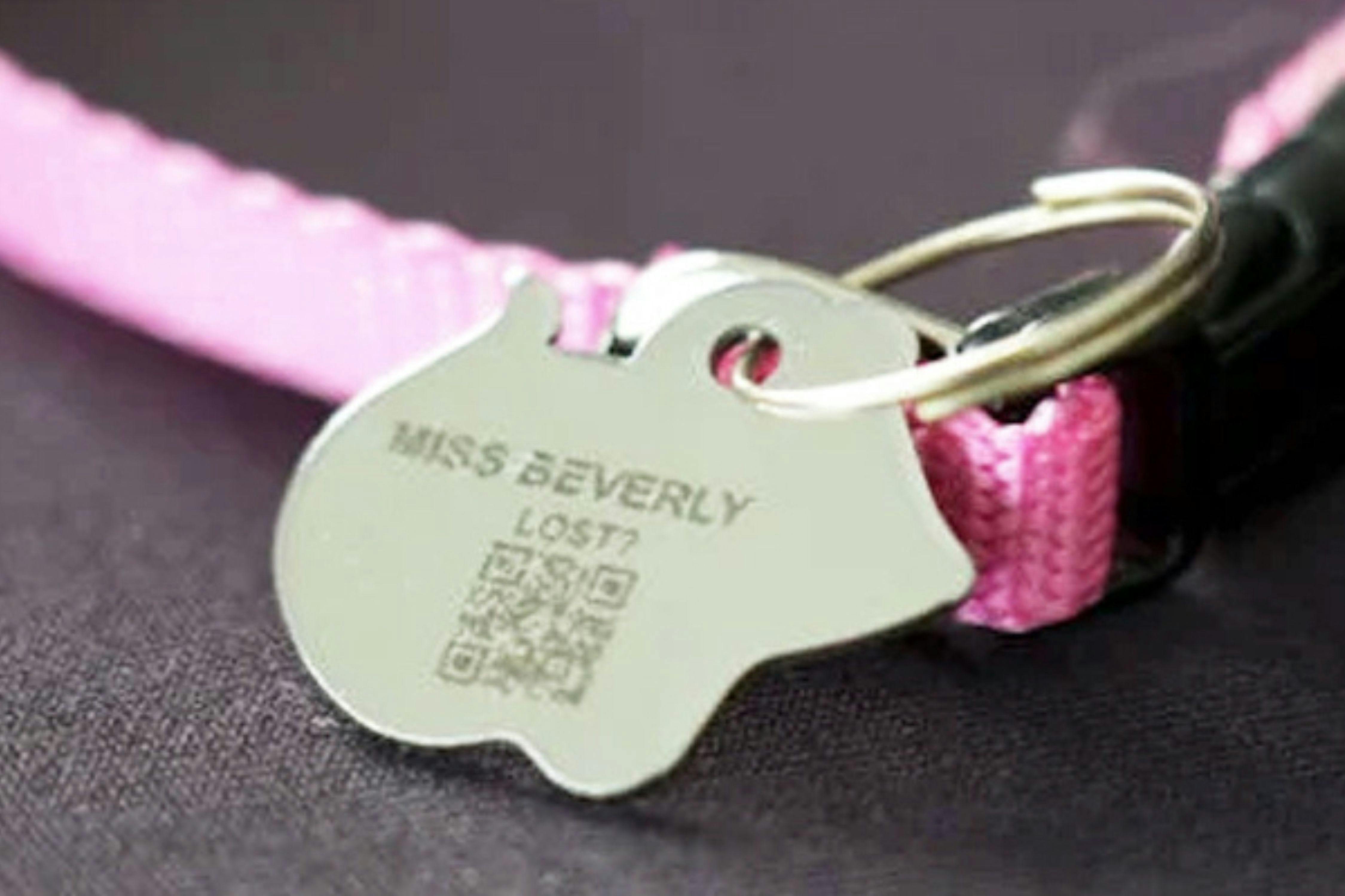 FidoAlert Pet ID Tag