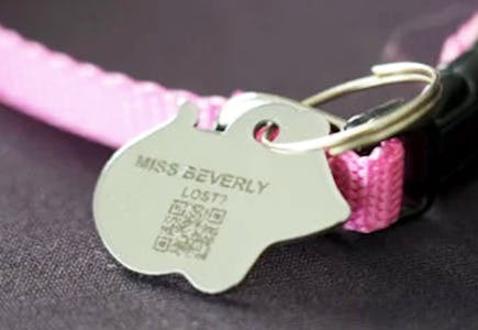 FidoAlert Pet ID Tag