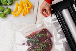 Guy Fieri Vacuum Sealer Kit