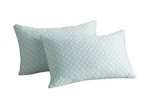 Queen Cooling Pillow Set