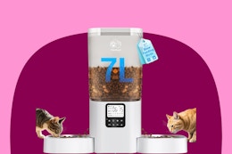 amazon dual pet feeder B0DZ2JH37L
