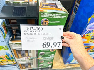 costco-clearance-bird-feeder