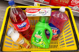 dollar general groceries in yellow shopping basket