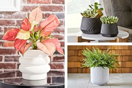 3 lifestyle images of Better Homes & Gardens planters