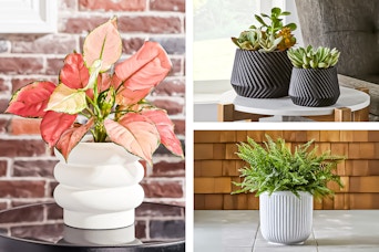 3 lifestyle images of Better Homes & Gardens planters