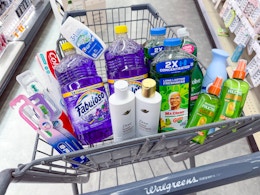 garnier fructis colgate dove febreze palmolive fabuloso mr. clean items in walgreens cart