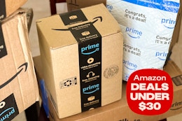 amazon deals under $30
