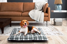 Bestselling Dog Bed Gift Set, Only $15 at Walmart card image