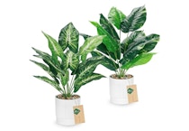 Artificial Indoor Plant Set