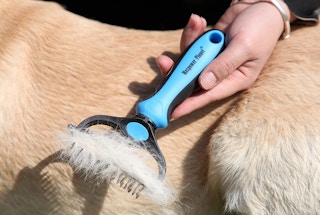 Maxpower Planet Pet Grooming Brush