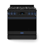 36-in 6-Burner Gas Range
