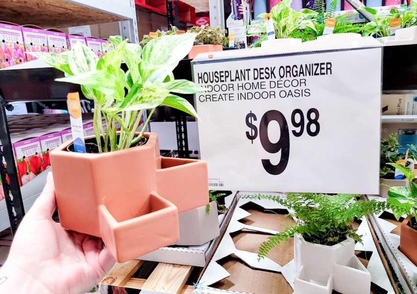 sams-club-plants-9