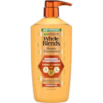 Garnier Whole Blends Conditioner