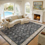 Area Rug