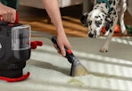dirt devil portable carpet cleaner 