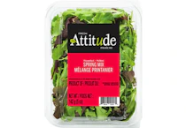 2 Fresh Attitude Spring Mixes