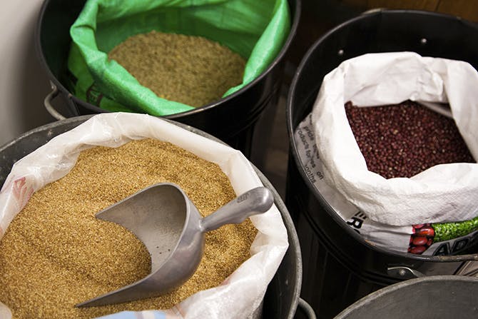 How to Get the Best Deals on Bulk Organic Foods