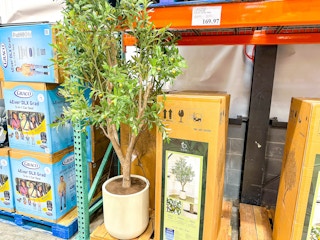 costco-clearance-faux-olive-tree