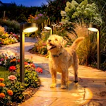 Solar Pathway Lights