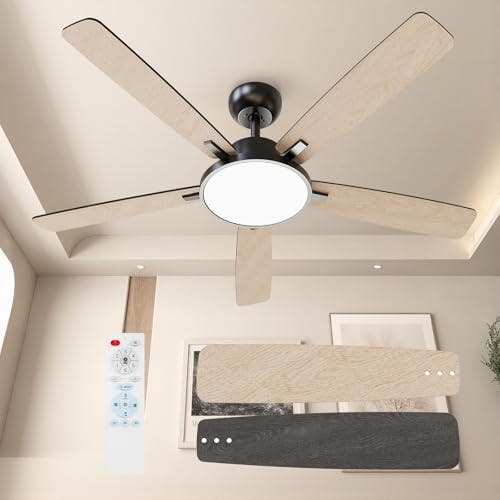Ceiling Fan with Lights