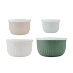 The Big One Nesting Bowls & Lids