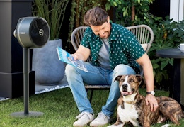 Bestselling Shark Cordless Fan Set, Only $135 at QVC ($239 Value) card image