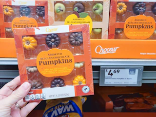 aldi-finds-3