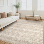 Area Rug