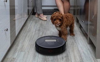 zulily bobsweep feature 1681482635 1681482635 e1681482662154