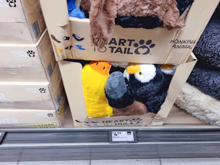 aldi-finds-33