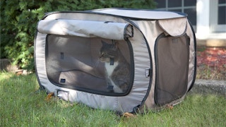 sport pet large pop open kennel2 1638193221 1638193221