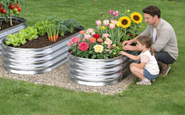 a dad and daughter picking flowers on a garden bed