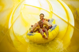 A family playing and swimming in the water in the pool area at an indoor Great Wolf Lodge