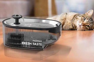 Cat Water Fountain