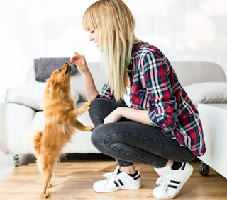 walmart good n fun holiday dog treats 2022 1672156274 1672156274