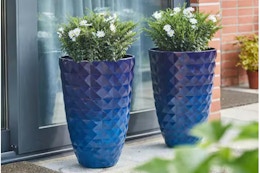 Lifestyle image of two colbalt blue textured planters outdoors 
