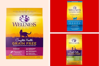 wellness cat food