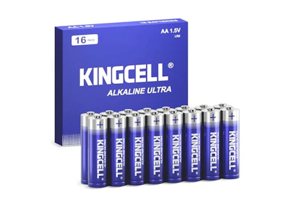 AA Batteries