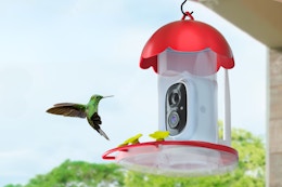 Hummingbird Feeder With Camera, Just $59.99 on Amazon for a Limited Time card image