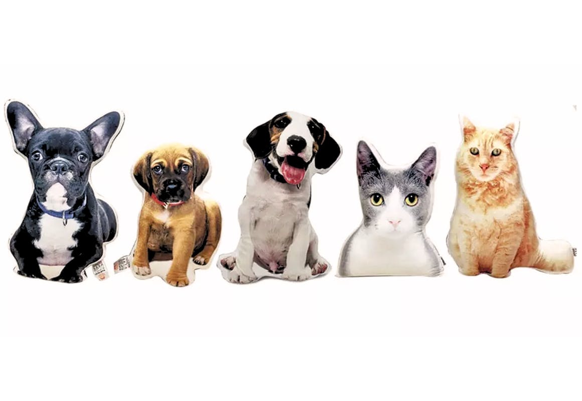 Custom Pet Photo Pillow